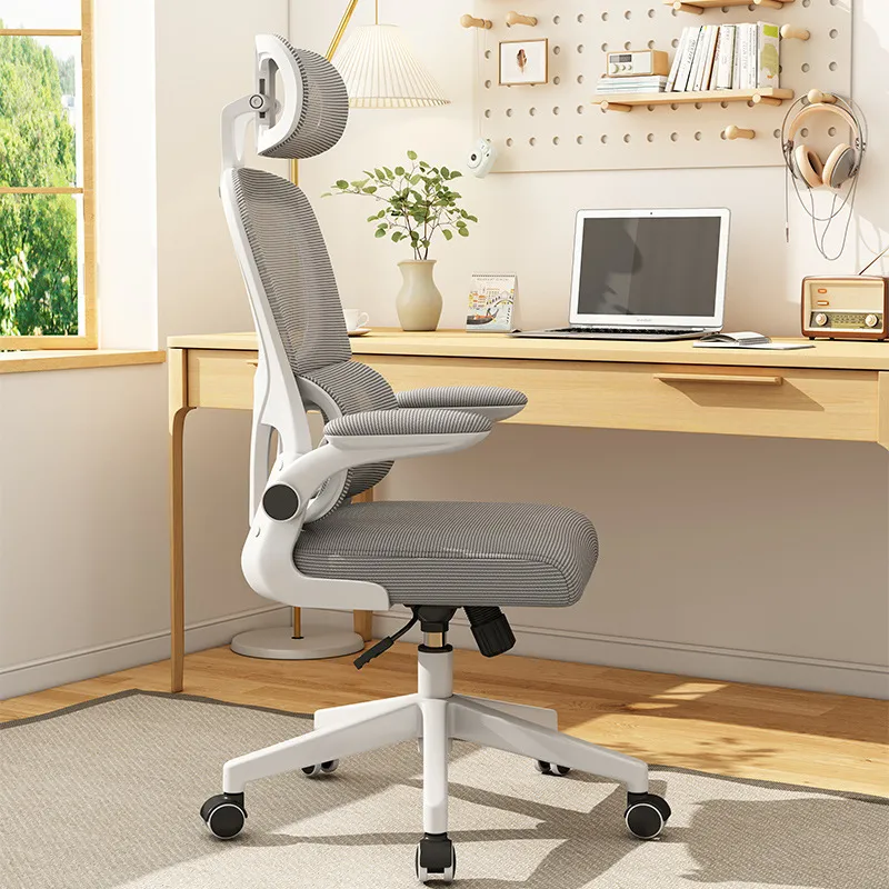 Computer Ergonomic Chair Waist - огляд і ціна Ergonomic Office Chair